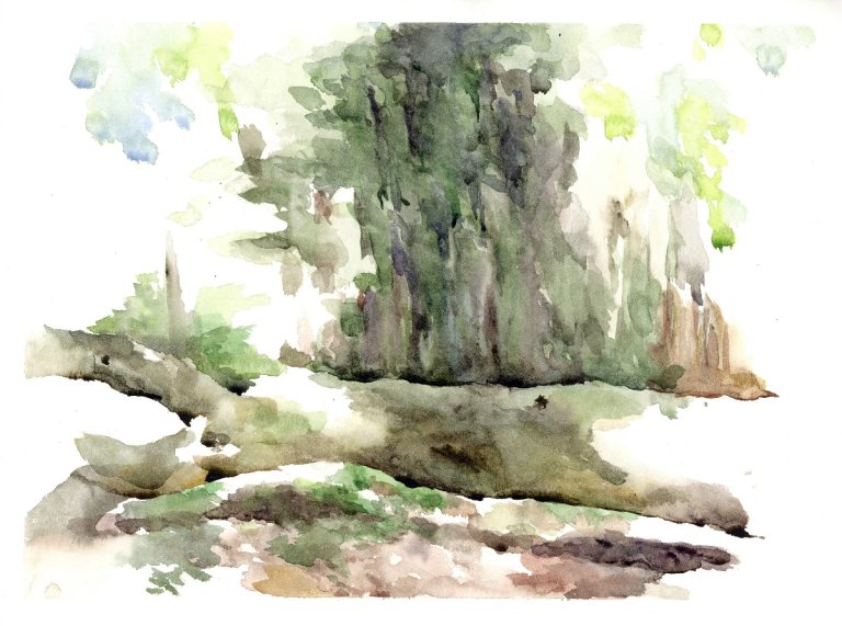 Aquarellstudien 2022